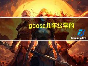 goose几年级学的