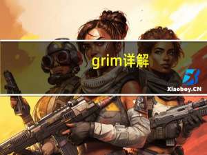 grim详解（从数字角度来看 RIM即将崩溃:）