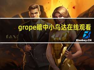 grope 暗 中 小鸟达在线观看（grope 暗 中 小鸟达）