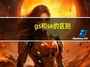 gs和se的区别