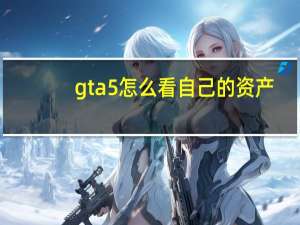 gta5怎么看自己的资产