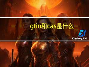 gtin和cas是什么