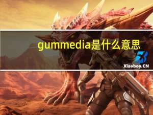 gum media是什么意思
