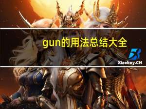 gun的用法总结大全