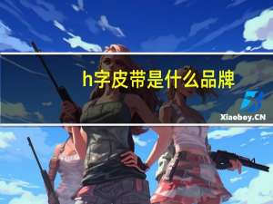 h字皮带是什么品牌
