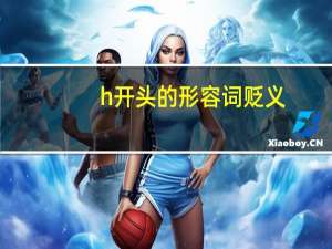 h开头的形容词贬义