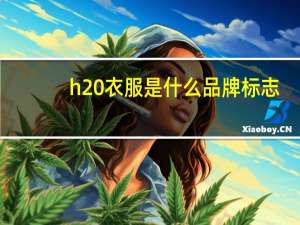 h 衣服是什么品牌标志