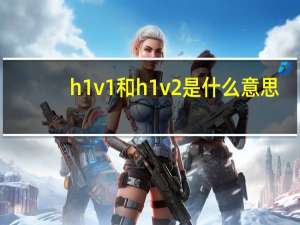 h1v1和h1v2是什么意思