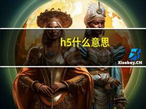 h5什么意思