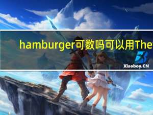 hamburger可数吗可以用They
