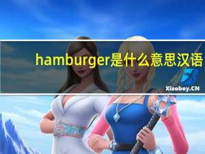 hamburger是什么意思汉语