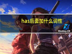 has后面加什么词性
