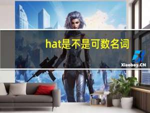hat是不是可数名词