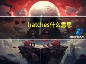 hatches什么意思（hatch什么意思）