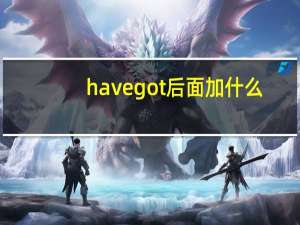 have got 后面加什么