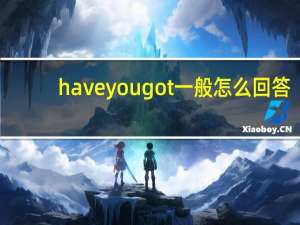 haveyougot一般怎么回答