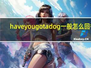 have you got a dog一般怎么回答