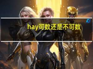 hay可数还是不可数