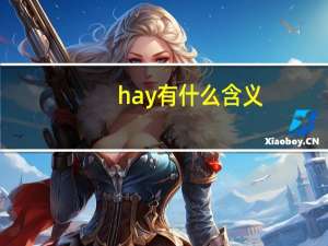 hay有什么含义
