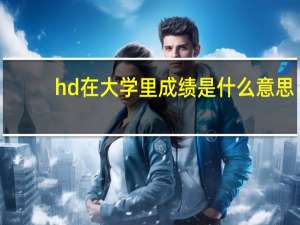 hd在大学里成绩是什么意思