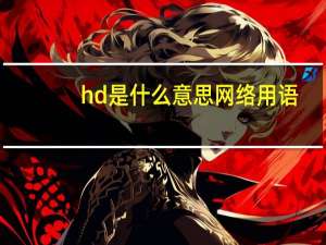 hd是什么意思网络用语（hd是什么意思）