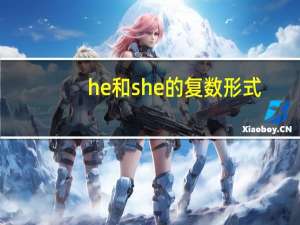 he和she的复数形式