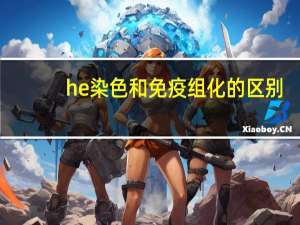 he染色和免疫组化的区别（he染色和免疫组化的区别）