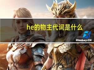 he的物主代词是什么