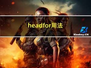 head for用法（head for）