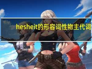 hesheit的形容词性物主代词