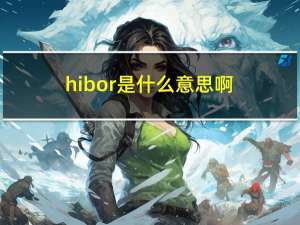 hibor是什么意思啊（hibor是什么意思）