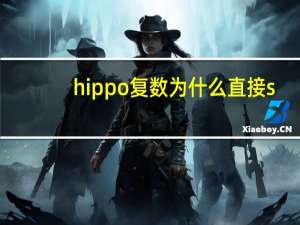 hippo复数为什么直接s