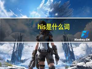 his是什么词