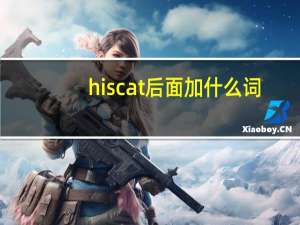 his cat后面加什么词