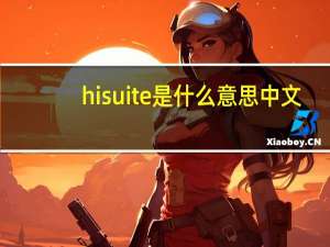 hisuite是什么意思中文（hisuite是什么意思）