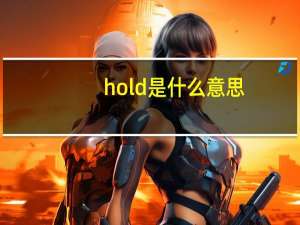 hold是什么意思