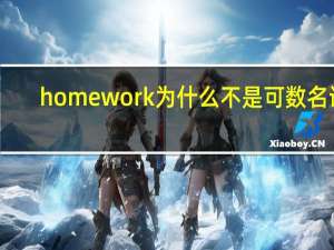 homework为什么不是可数名词