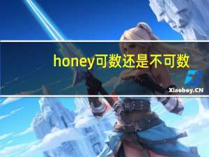 honey可数还是不可数