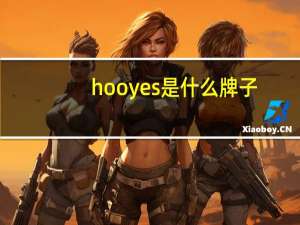 hooyes是什么牌子