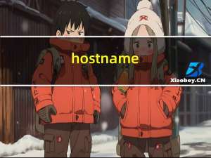 hostname（host）