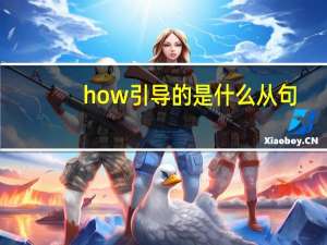 how引导的是什么从句