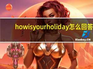 howisyourholiday怎么回答