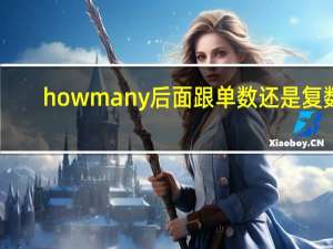 howmany后面跟单数还是复数
