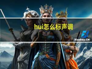 hui怎么标声调