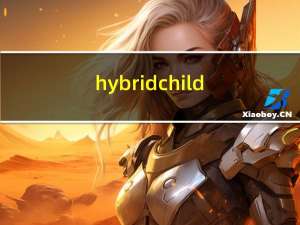 hybrid child（关于hybrid child的介绍）