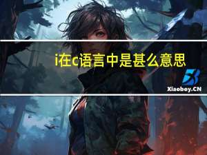 i在c语言中是甚么意思