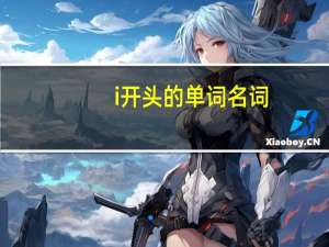 i开头的单词名词