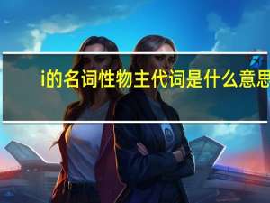i的名词性物主代词是什么意思