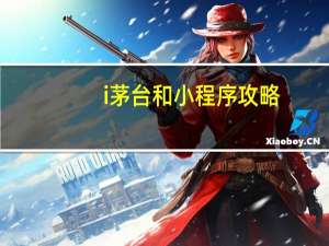 i茅台和小程序攻略