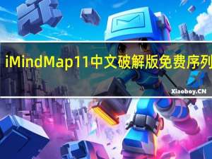 iMindMap11中文破解版 免费序列号版（iMindMap11中文破解版 免费序列号版功能简介）